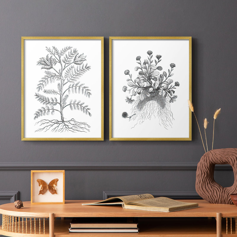Reproduction encadrée de qualité supérieure B&W Plant Speciment IX - prête à être accrochée - aucun clou requis - aucun clou requis