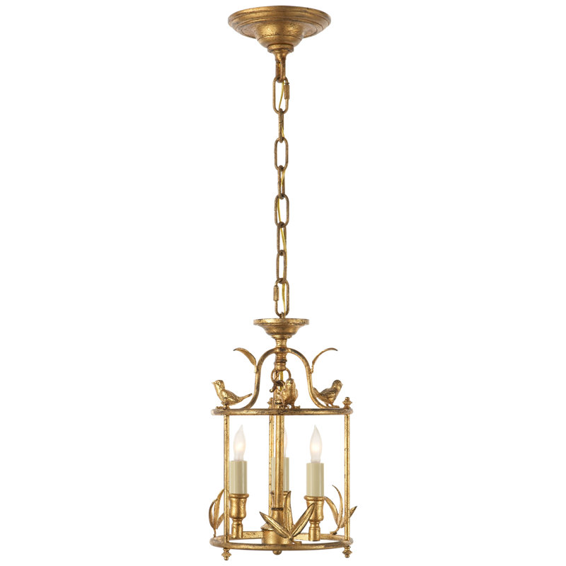 Chapman & Myers Diego Petite Classical Perching Bird Lantern, Golded Iron