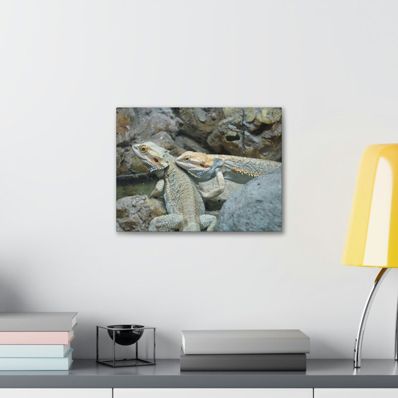 No Frame Print on Canvas, 11cm H x 14cm W