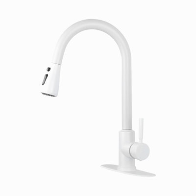 Kitchen Faucet With Pull Out Spraye