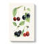 Vintage Illustrations Of Cherries - Wrapped Canvas Painting-55299994