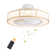 Evamae 5 - Blade Classical Elegant LED Caged Ceiling Fan with Light Kit and Remote Control