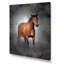 Portrait d'un cheval brun II - reproduction sur toile-67236397-67236404