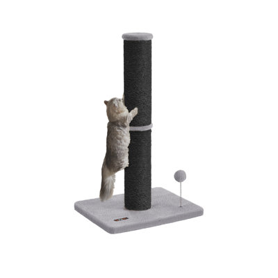 Tacha Scratching Post