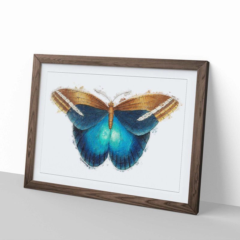 Idomeneus Butterfly by George Shaw - Framed Print, 27cm H x 36cm W x 2cm D, Walnut Framed