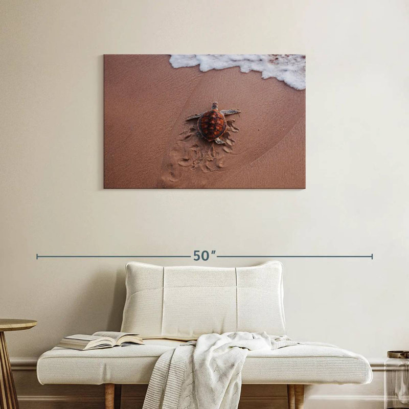 Brampt Turtle Footprints, 24" H x 36" W