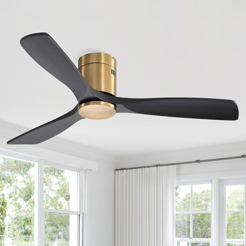 Nicola 52" 3-Blade Ceiling Fan, Gold Finish with Black Blades
