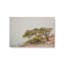 Impression sur toile Windswept Beauty-1652591198-1652591187