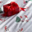 Delbert Polyester Christmas Duvet Cover Set with Pillowcases-1821811744
