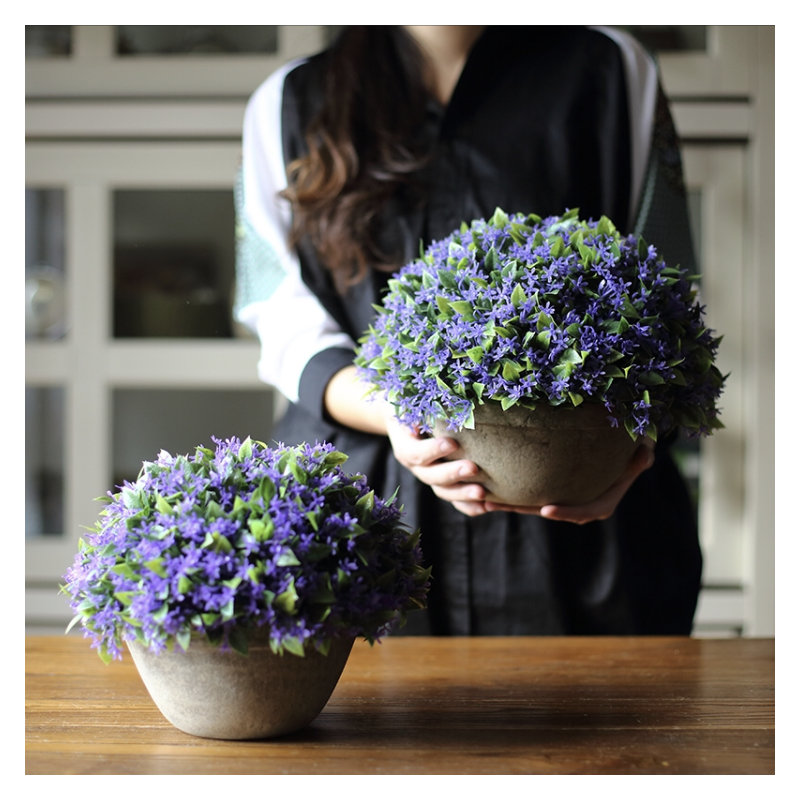Topiaire buis rustique en pot, Petit