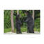 No Frame Print on Canvas-1493495727