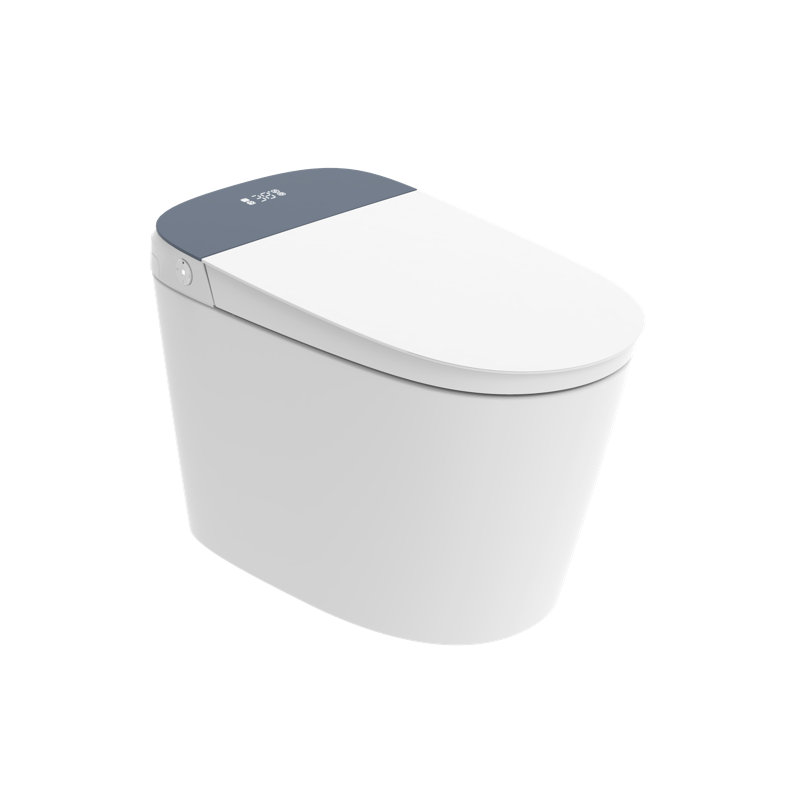 White Ceramic Elongated Smart Toilet with Heated Seat and Dryer