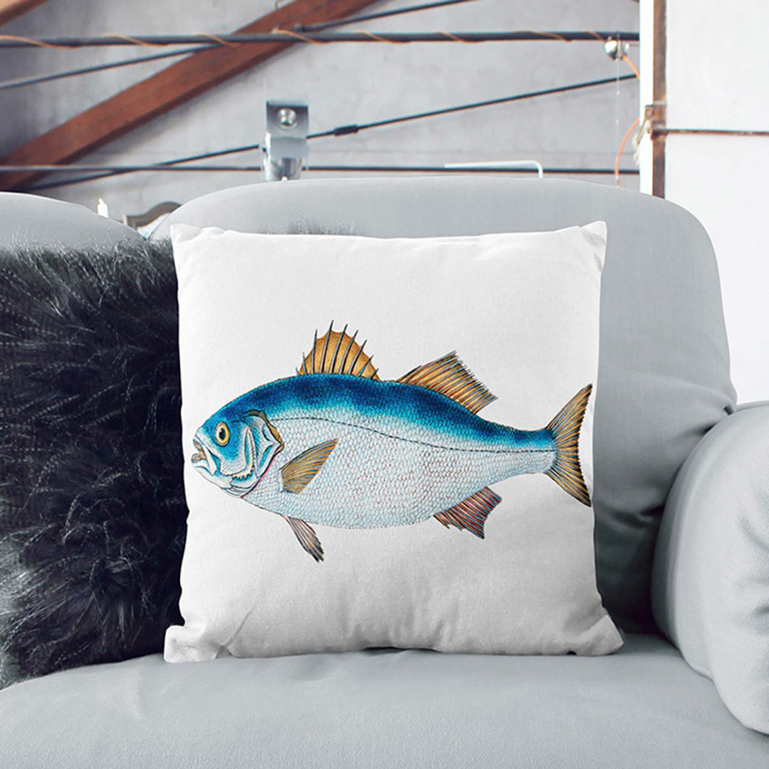 Bass Fish by Edward Donovan Cushion with Filling