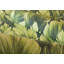 Vitti Somoa Inspired Tropical Leaves 8.5m x 70cm Wallpaper Roll-1916932541