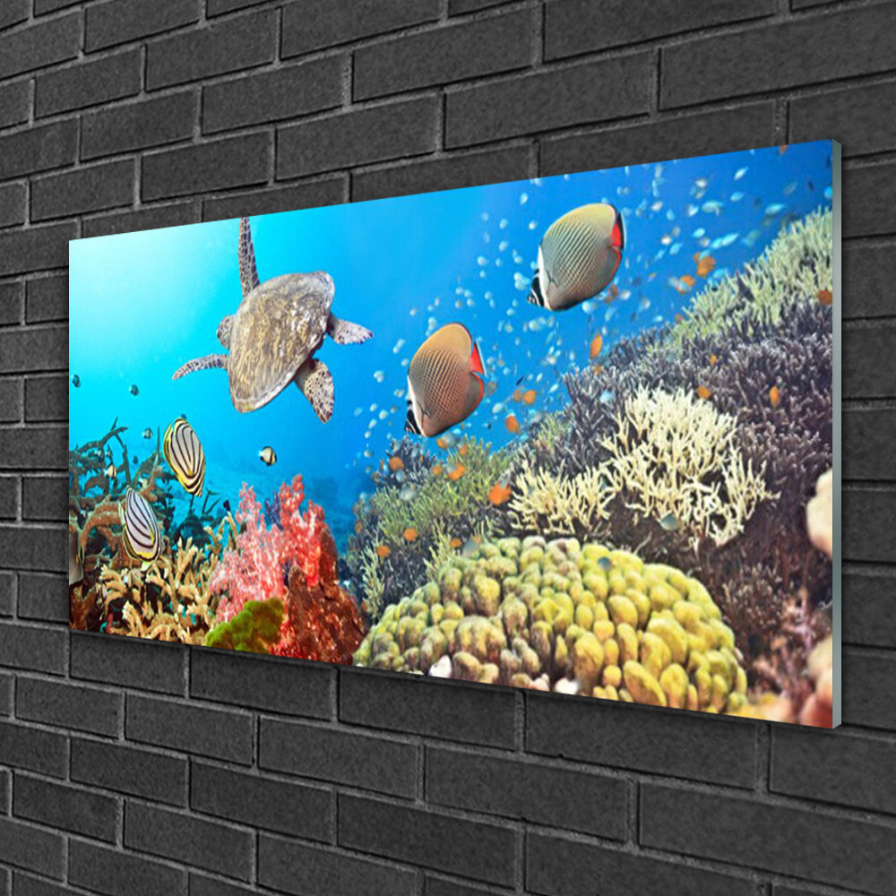 Glasbild Landscape Coral Reef