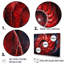 «Scarlet Swirl Shellfish I», ensemble d'art sur toile Nautilus-107766817