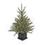 4' Blue PE Spruce Christmas Tree with 780 Lights