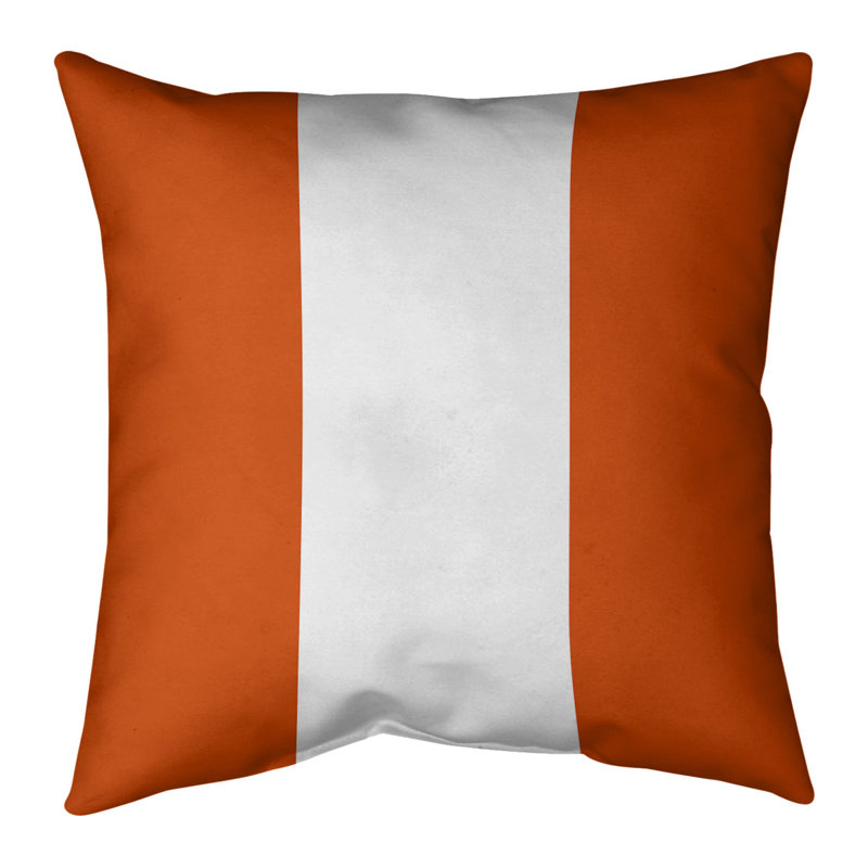 Syracuse Indoor/Outdoor Throw Pillow, 16" H x 16" W, Orange