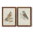 " Hawk Owl " 2 - Pieces-747655249-747655244