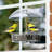 Window Tray Bird Feeder