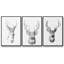 Young Buck S croquis I - ensemble de 3 reproductions sur toile-97913501-97913495