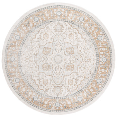 Aaydn Performance Oriental Rug