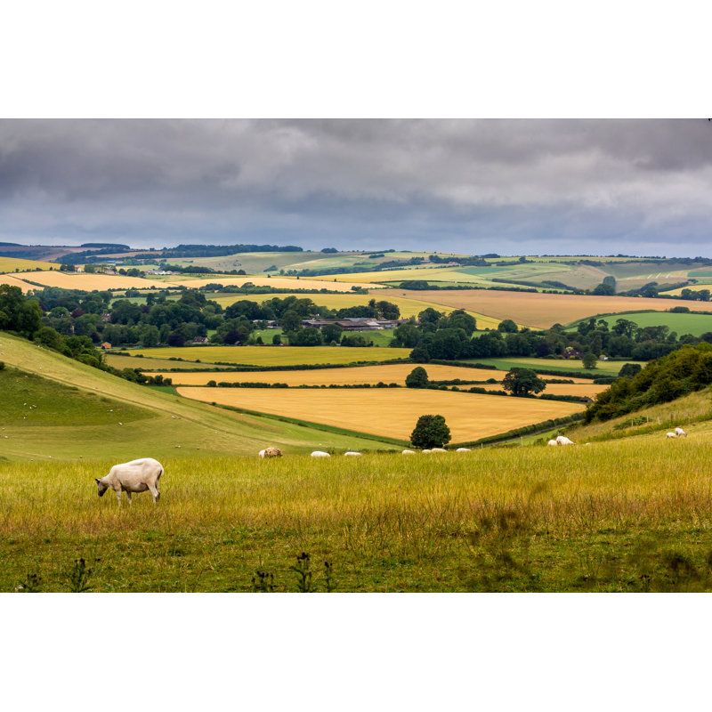 Wiltshire Countryside - Photographie sur toile tendue, H 32 po x l 48 po