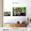 Crowle Lazy Leopard-111978565