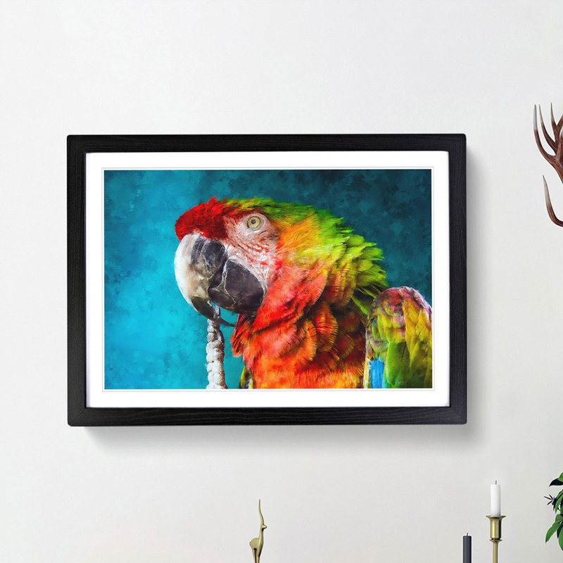 Rainbow Macaw Parrot - Framed Print, 62cm H x 87cm W x 2cm D, Black Framed