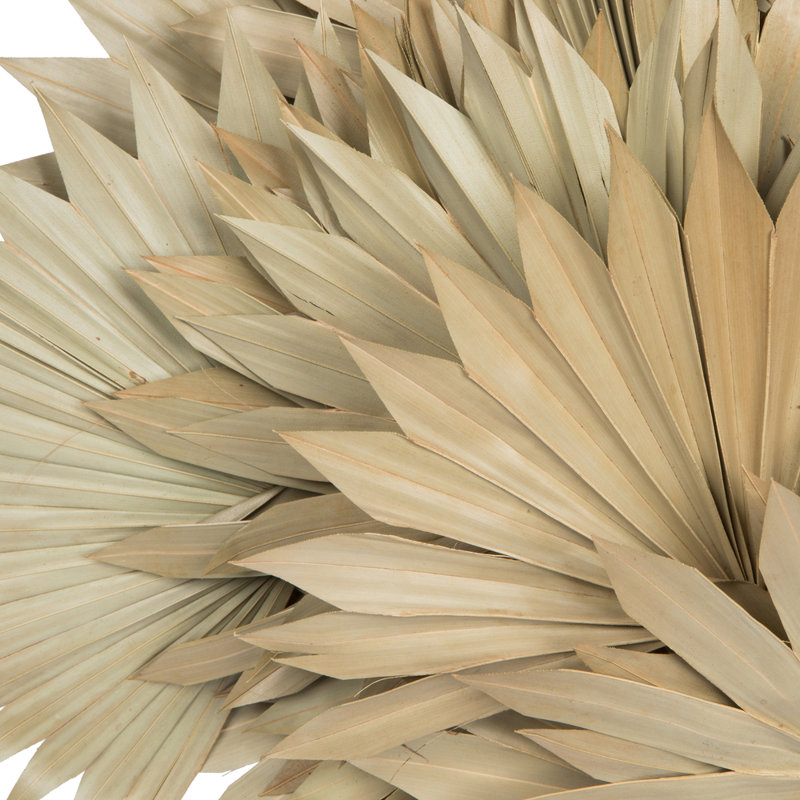 20'' Plant