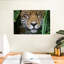 Jaguar de la jungle amazonienne Brampt-107720430