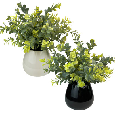 Faux plantes d'eucalyptus dans des pots en céramique