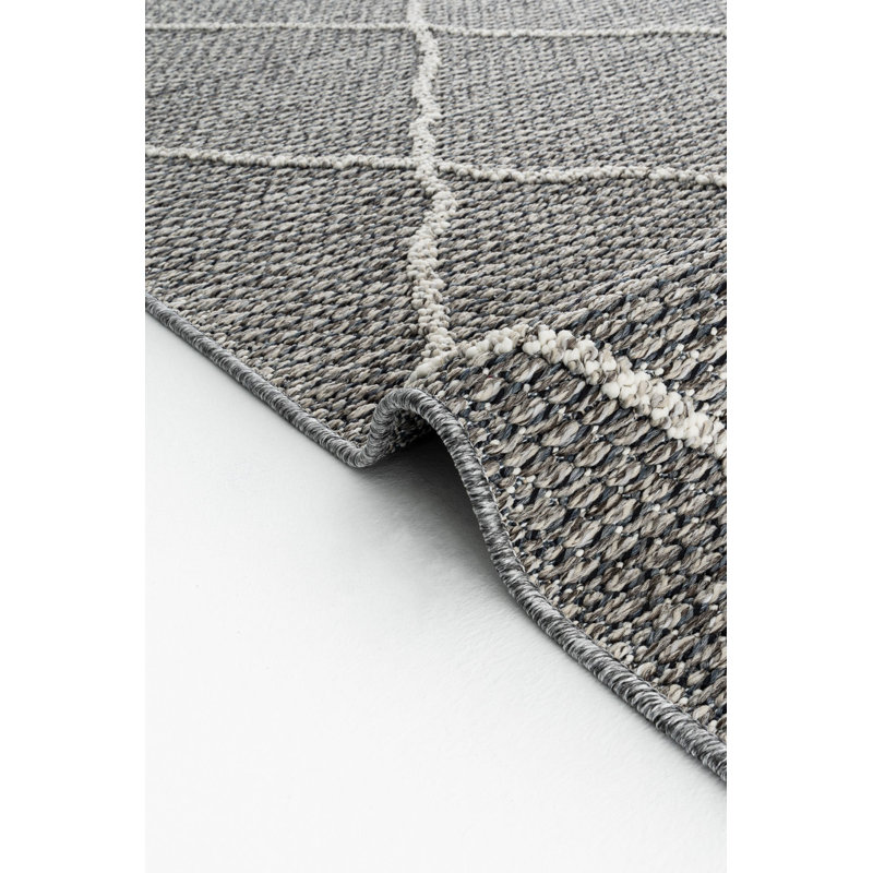 Adrieonna Machine Made Indoor / Outdoor Area Rug, Runner 2'8" x 6'7"
