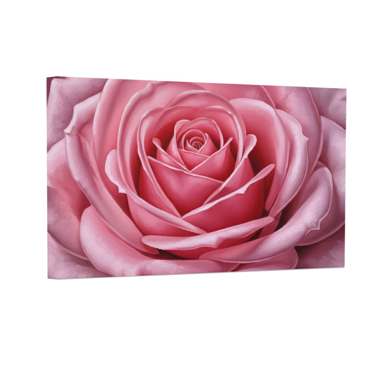 Plantes et fleurs, rose, gros plan, motif floral, H 24 po x l 36 po