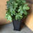 Pot Planter