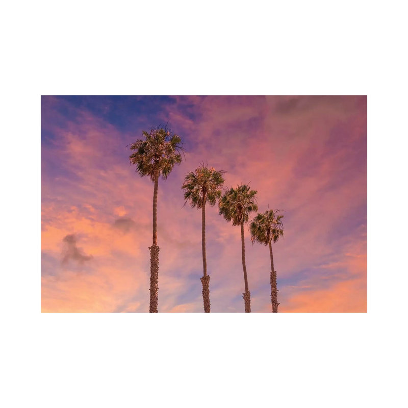 Palm Trees - Idyllic Sunset by Melanie Viola - Wrapped Canvas Print, 30.48cm H x 45.72cm W x 1.91cm D