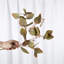 Branche d'eucalyptus artificiel Audet (1 tige)-640572624