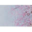 Hand -painted cherry blossom night acrylic painting