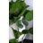 Artificial Plant Hanging Pothos 22"