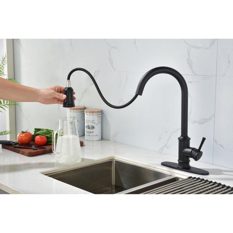 Robinet de cuisine en acier inoxydable de couleur noir mat avec une poignée rétractable et une poignée robuste