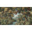 Papier peint paysage de forêt Woodland-1838452596-1838452593