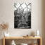 Sirci East Broadway-108522520