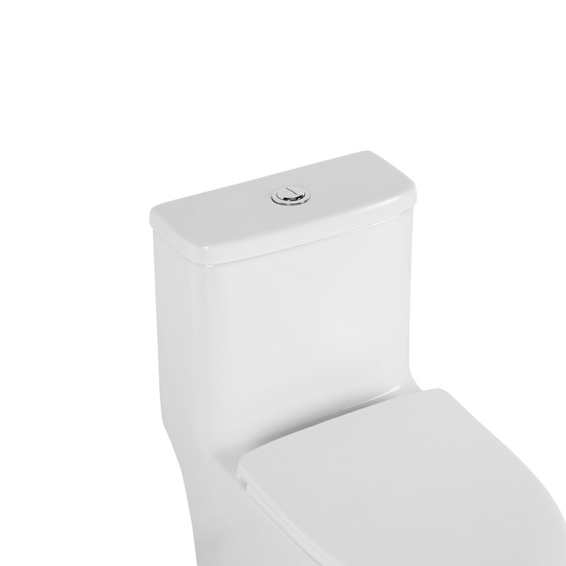 Ceramic Elongated Toilet, 1.1/1.6 , White, Comfortable, Soft Close Seat, & , T036wt Elongated,
