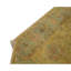 Wool Oriental Area Rug in Yellow