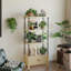 Petite Odilia avec porte Bibliothèque en bois de 54 pouces avec bibliothèque en chêne et armoire de rangement-1205612512