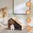Cloy Nest Pet Bed