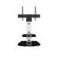 Sissinnguaq TV Stand for TVs up to 65"-1729772614