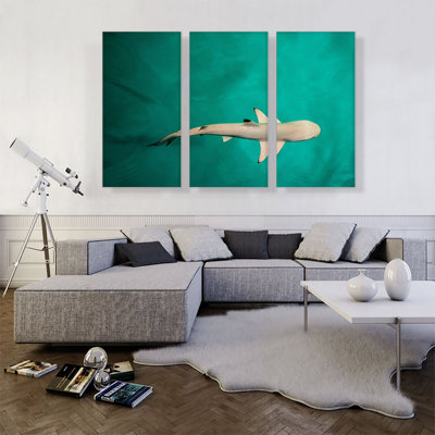 " Whitetip Reef Shark Rectangle " 3 - Pieces
