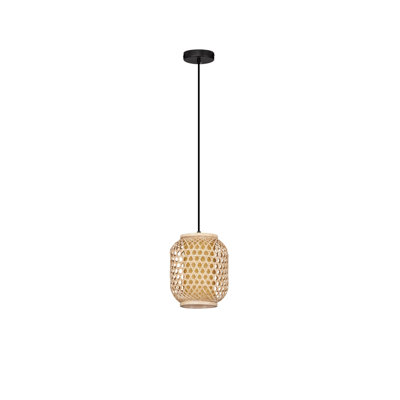 - Light Pendant