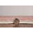 Delacroy Machine Washable Pink and Ivory Area Rug-55466330